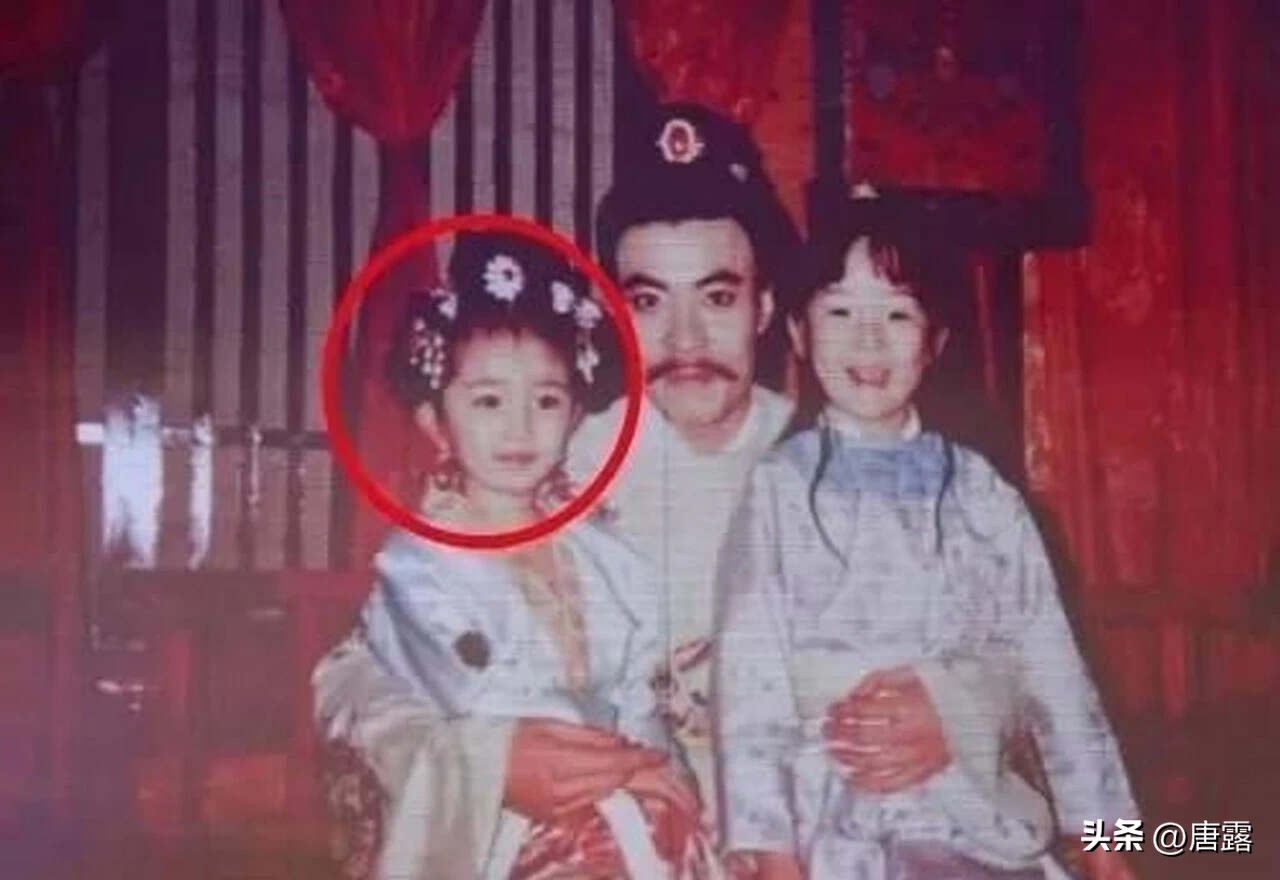 杨幂演技转型_娱乐圈小说有杨幂_85花现状分析