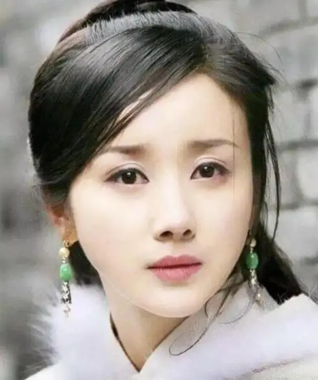 2016古装女明星_孙菲菲古装第一美女经历_孙菲菲退出娱乐圈原因