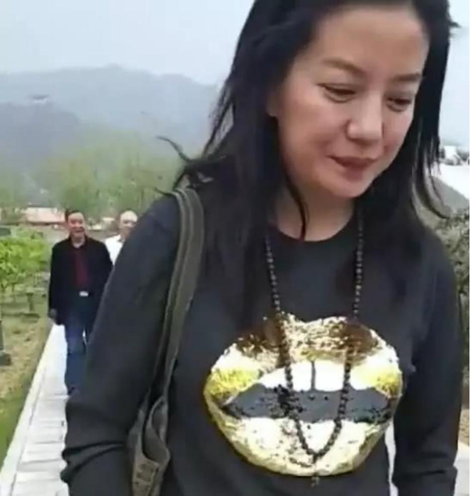 赵薇现在还在娱乐圈吗_赵薇被封杀原因深度解析_赵薇近年负面新闻